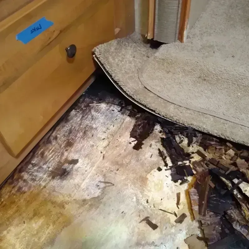 Wood Floor Water Damage in Creedmoor, NC